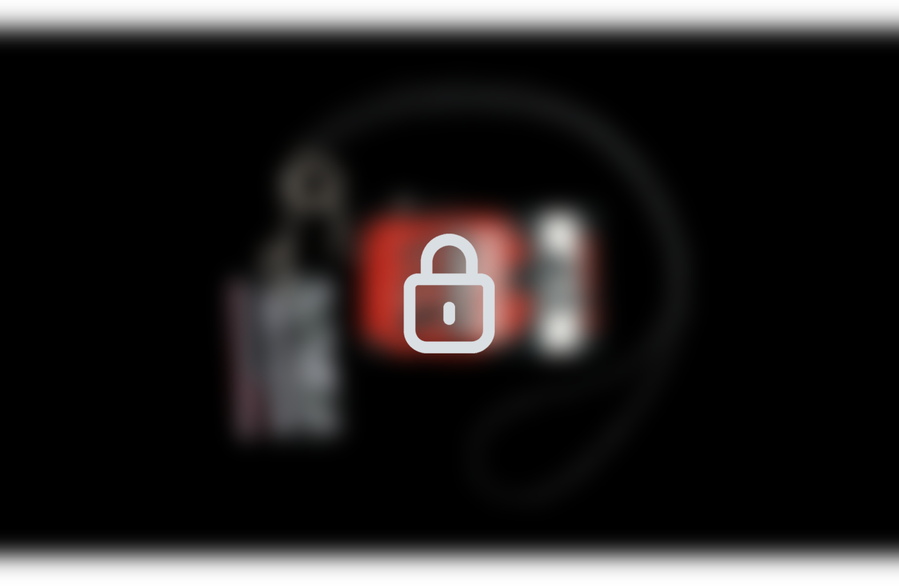 Blurred preview of VIP Wallet.
